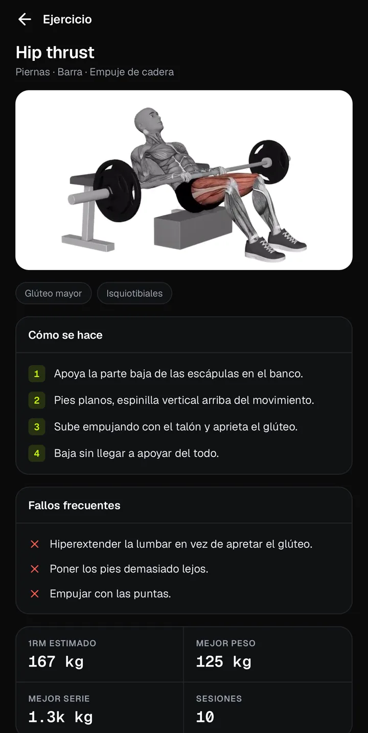 Ficha del hip thrust en GO360: animación con los músculos que trabajan, cómo se hace y fallos frecuentes